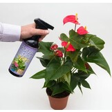 GROWTH TECHNOLOGY HOUSEPLANT MYST – 100 ML