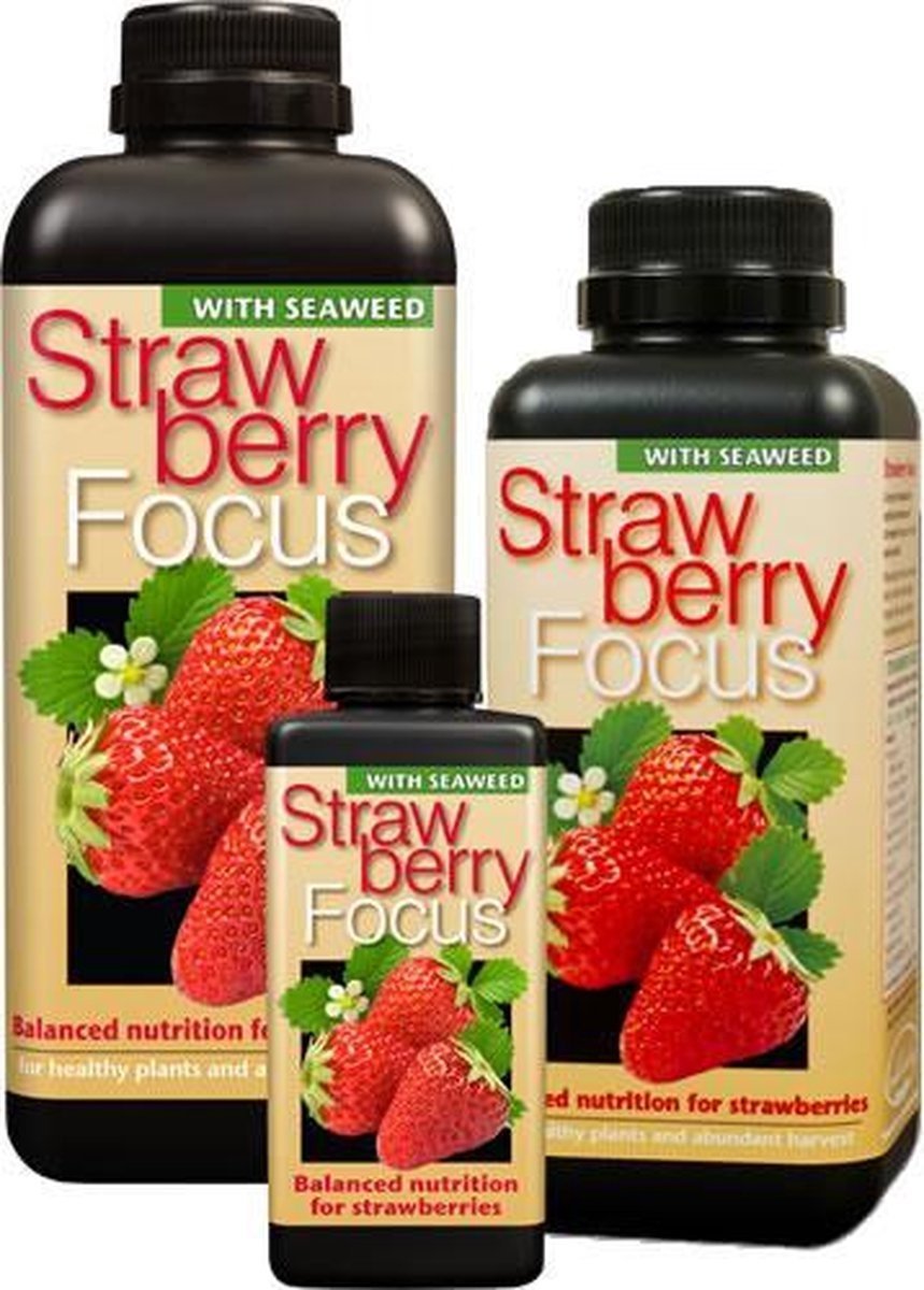 GROWTH TECHNOLOGY STRAWBERRY FOCUS – 300 ML