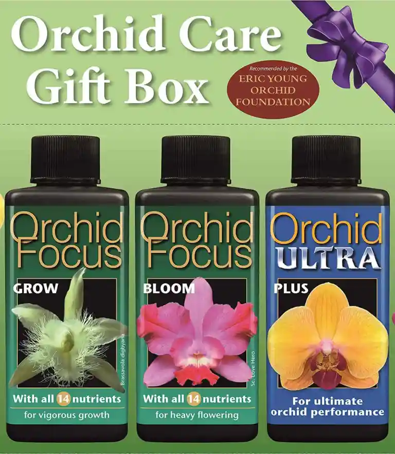 GROWTH TECHNOLOGY ORCHID FOCUS GIFT PACK – 3 X 300 ML