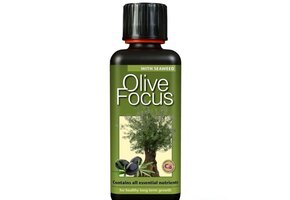 GROWTH TECHNOLOGY OLIVE FOCUS 500 ML