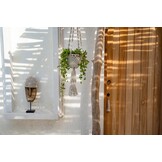 BAZAR BIZAR THE COWRIE MASK ON STAND MEDIUM