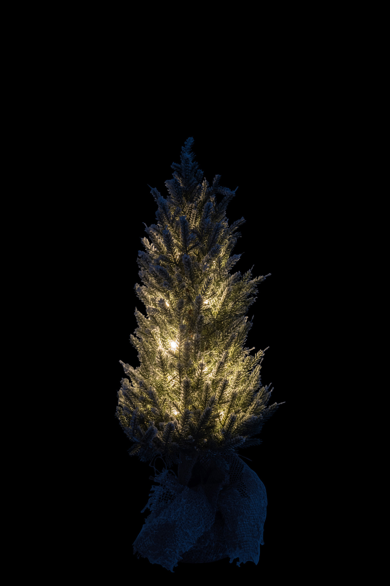 J-LINE KERSTBOOM + LED + POT JUTE PLASTIC SNEEUW GROEN MEDIUM
