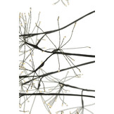 J-LINE BOOM 3000 LED METAAL ZWART GROOT