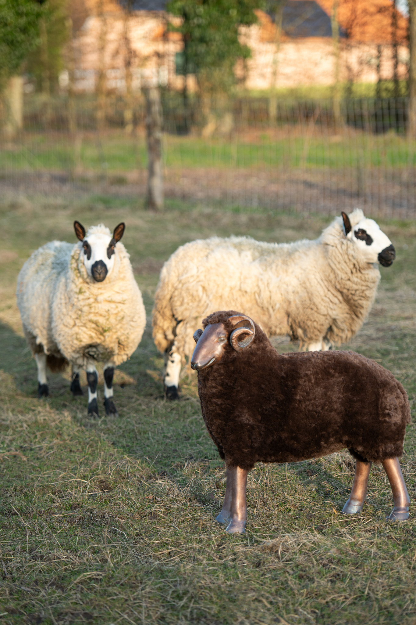 J-LINE SCHAAPSHOORNS KALKPOEDER BRUIN