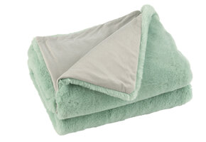 J-LINE PLAID CUTIE POLYESTER MINT