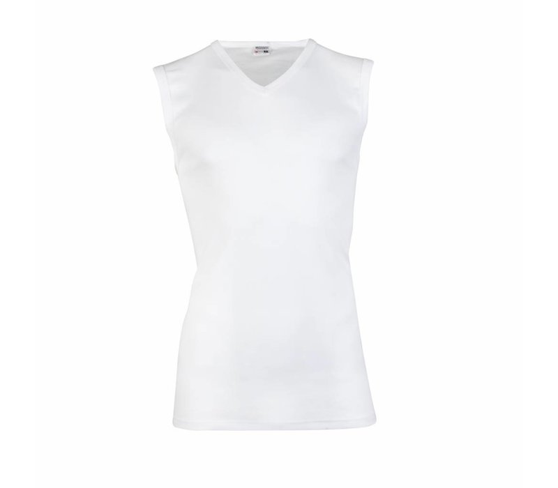 heren hemd V-hals wit 2-Pack
