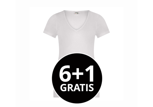 Beeren Dames T-Shirt M3000 V-Hals Voordeelpack