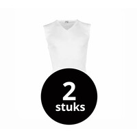 heren hemd V-hals wit 2-Pack