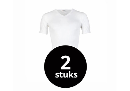 Beeren Heren T-Shirt V-Hals M3000 Wit 2-Pack