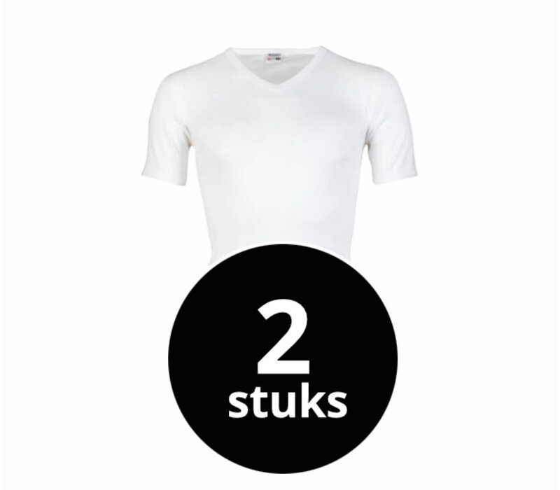 heren T-shirt V-hals M3000 wit 2-Pack