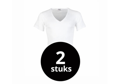 Beeren Heren T-Shirt Diepe V-Hals M3000 Wit 2-Pack