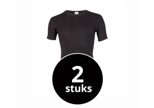Beeren Heren T-Shirt M3000 Zwart 2-Pack