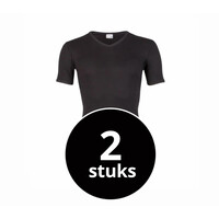 heren T-shirt V-hals M3000 zwart 2-Pack