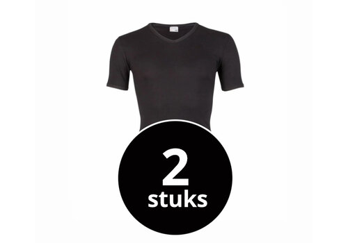 Beeren Heren T-Shirt V-Hals M3000 Zwart 2-Pack