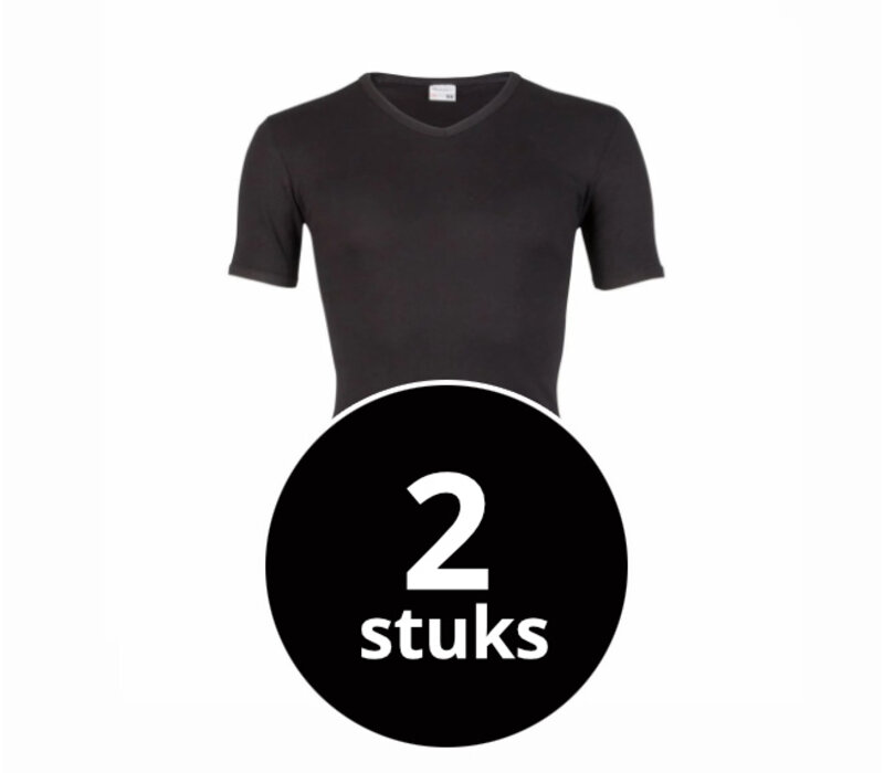 heren T-shirt V-hals M3000 zwart 2-Pack