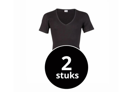 Beeren Heren T-Shirt Diepe V-Hals M3000 Zwart 2-Pack