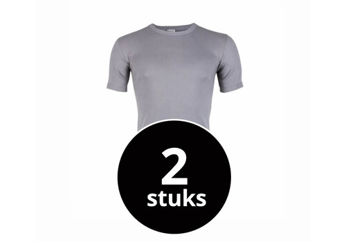Beeren Heren T-Shirt M3000 Grijs 2-Pack