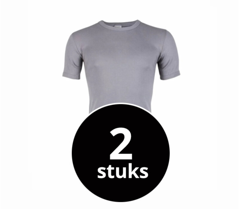 heren T-shirt M3000 grijs 2-Pack