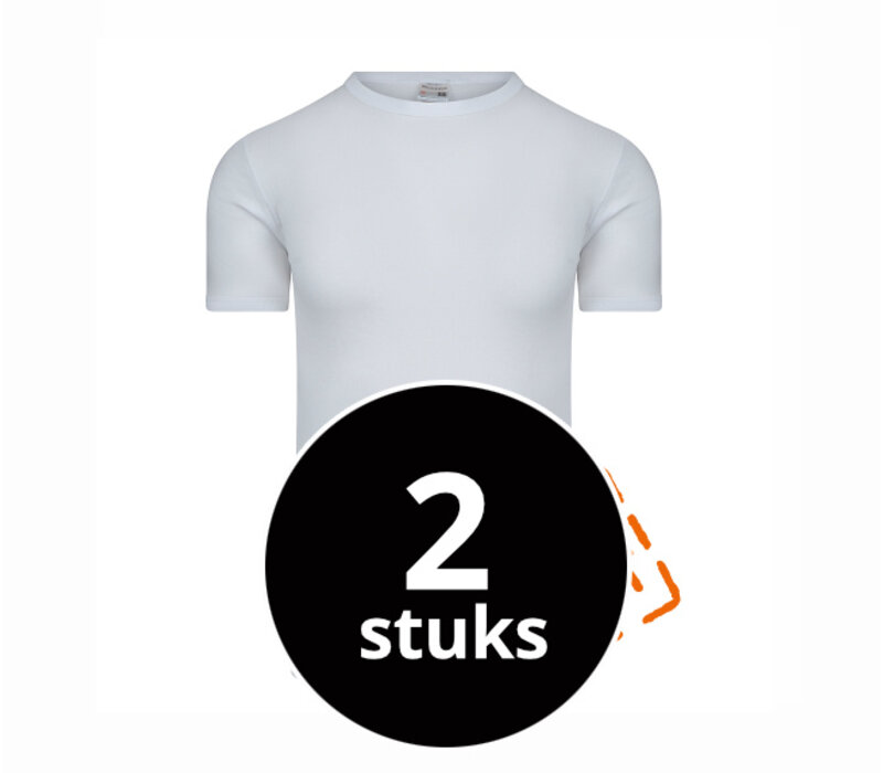 Beeren Heren T-Shirt Stays Fresh M3000 Wit  2-Pack