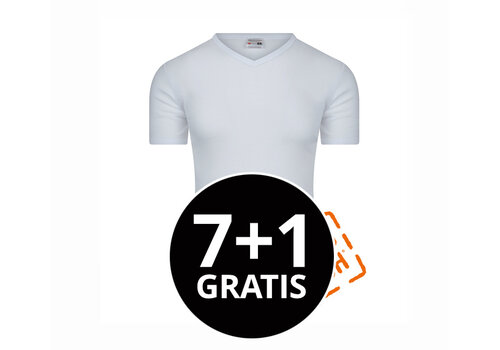Beeren Heren T-Shirt Stays Fresh V-hals M3000 Wit voordeelpack