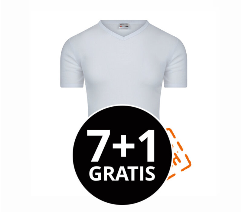 Beeren Heren T-Shirt Stays Fresh V-hals M3000 Wit voordeelpack