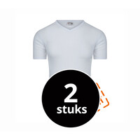 Beeren Heren T-Shirt Stays Fresh V-hals M3000 Wit 2-Pack