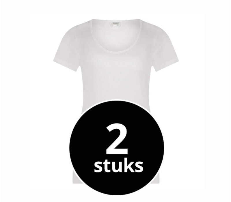 Beeren Dames T-Shirt M3000 Ronde Hals 2-Pack