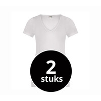 Beeren Dames T-Shirt M3000 V-Hals 2-pack