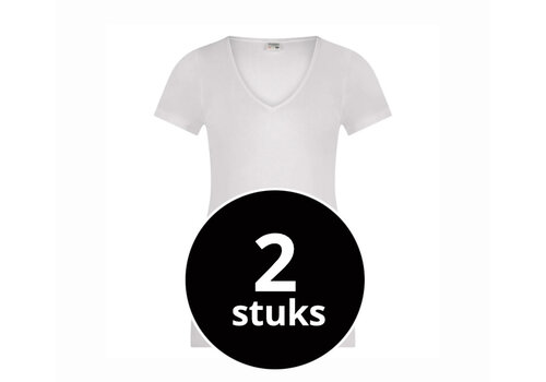 Beeren Dames T-Shirt M3000 V-Hals 2-pack