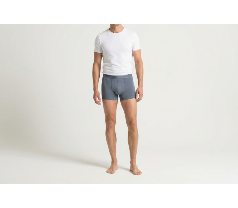 heren boxershort Rolf Grijs 2-Pack