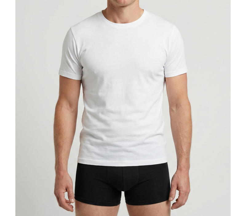 heren T-shirt M3000 wit 2-Pack