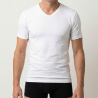 heren T-shirt V-hals M3000 wit 2-Pack