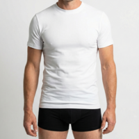 Beeren Heren Comfort Feeling T-Shirt Wit voordeelpack