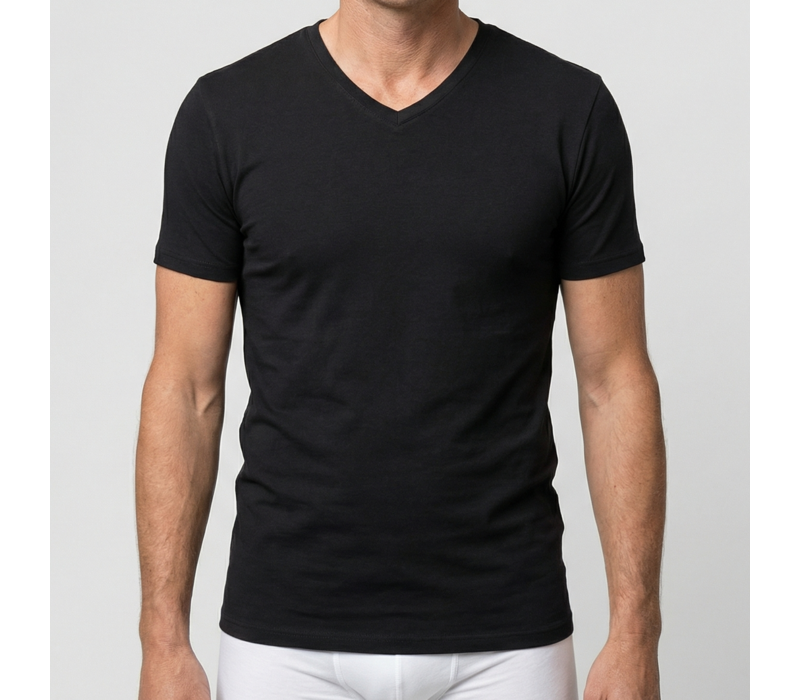 heren T-shirt V-hals M3000 zwart 2-Pack
