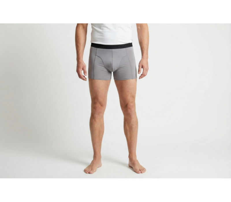 Beeren Heren Boxershort Hugo grijs 2-Pack