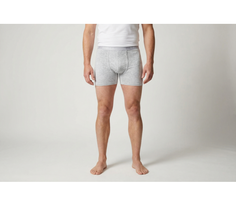 Beeren Heren Boxershort Roger Licht Grijs 2-Pack
