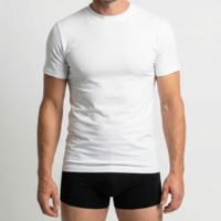 heren comfort feeling T-shirt wit 2-Pack