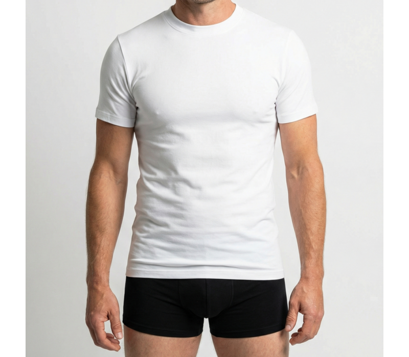heren comfort feeling T-shirt wit 2-Pack