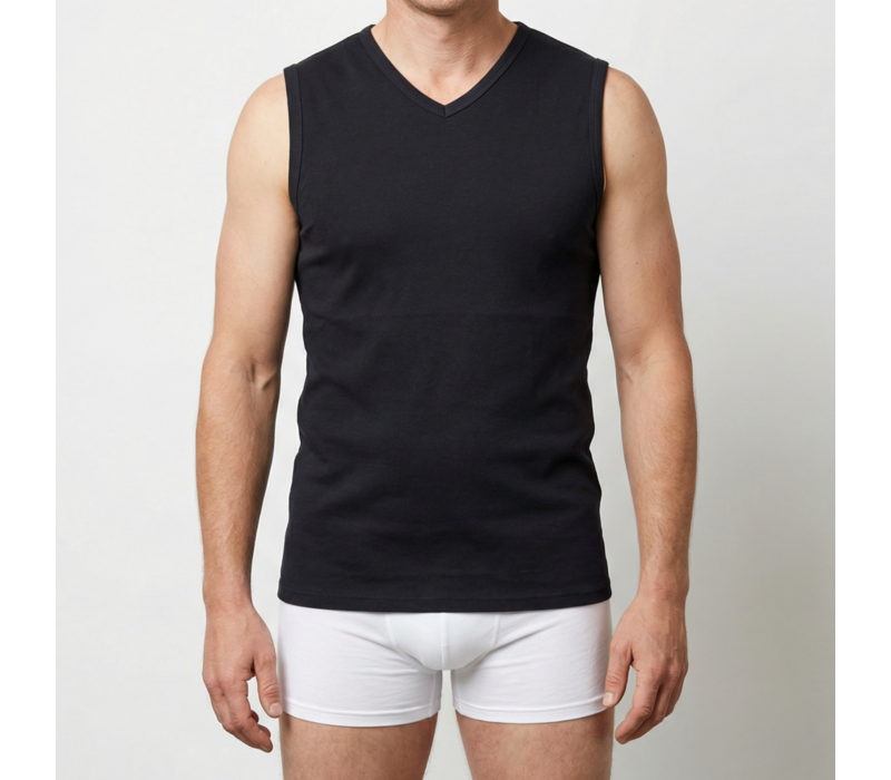 heren hemd V-hals zwart 2-Pack