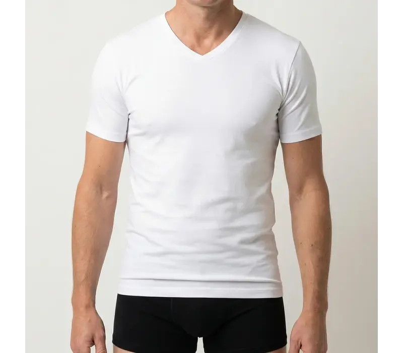 Beeren Heren T-Shirt V-Hals M3000 Wit voordeelpack
