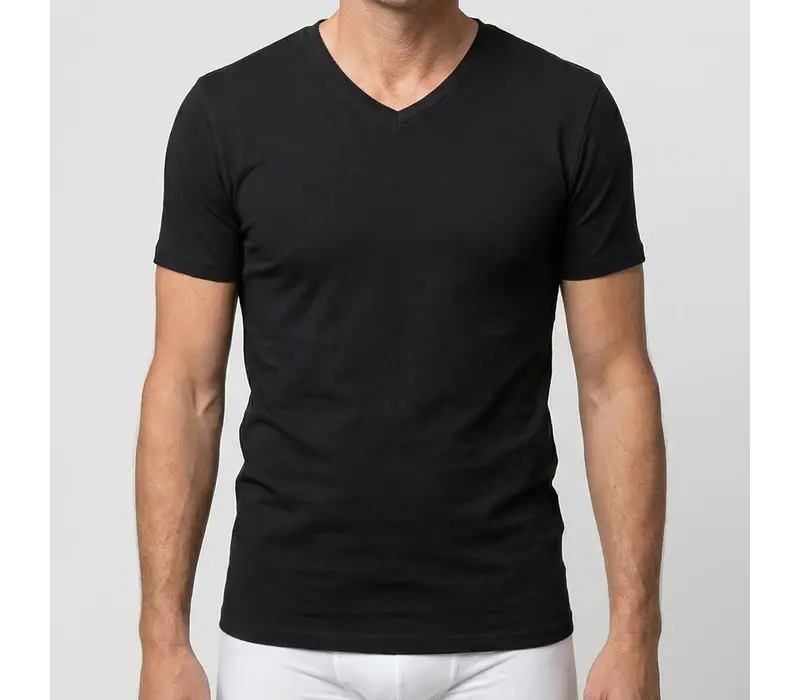 Beeren Heren T-Shirt V-Hals M3000 Zwart voordeelpack