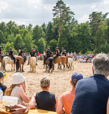 2. Juli 2023: Weinzierl Pferdefestival
