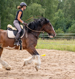 Feel the spirit: Ein Tag in Neu Drefahl mit Pferd