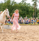 3.-5.  Juli 2026: Pferdefestival in Neu Drefahl
