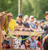 3.-5.  Juli 2026: Pferdefestival in Neu Drefahl