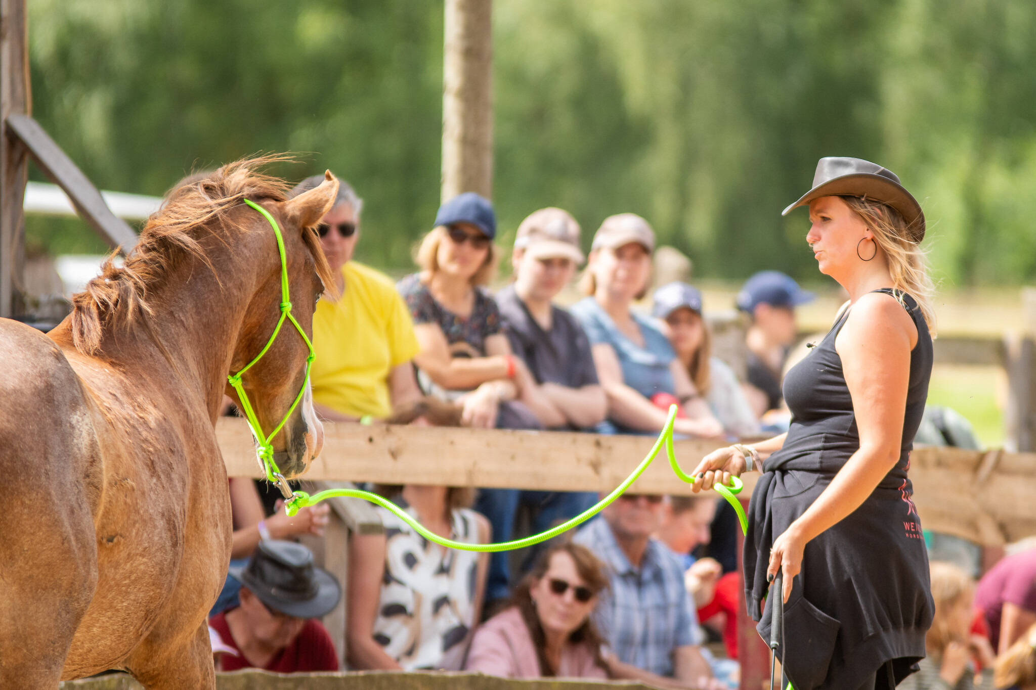 3.-5.  Juli 2026: Pferdefestival in Neu Drefahl