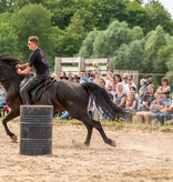 3.-5.  Juli 2026: Pferdefestival in Neu Drefahl
