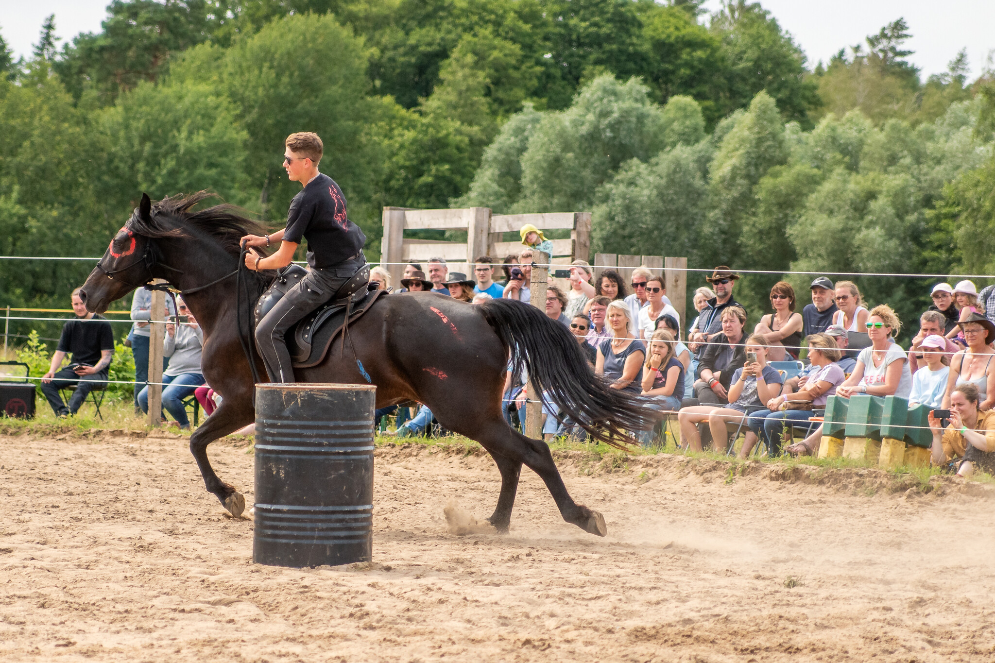3.-5.  Juli 2026: Pferdefestival in Neu Drefahl