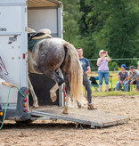 2.-4.  Juli 2027: Pferdefestival in Neu Drefahl