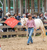 2.-4.  Juli 2027: Pferdefestival in Neu Drefahl